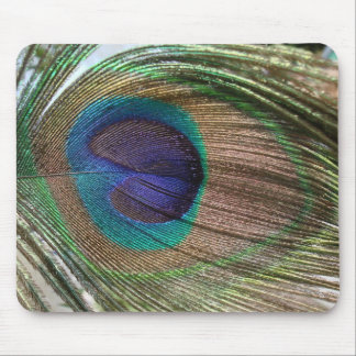 peacock feather mousepad