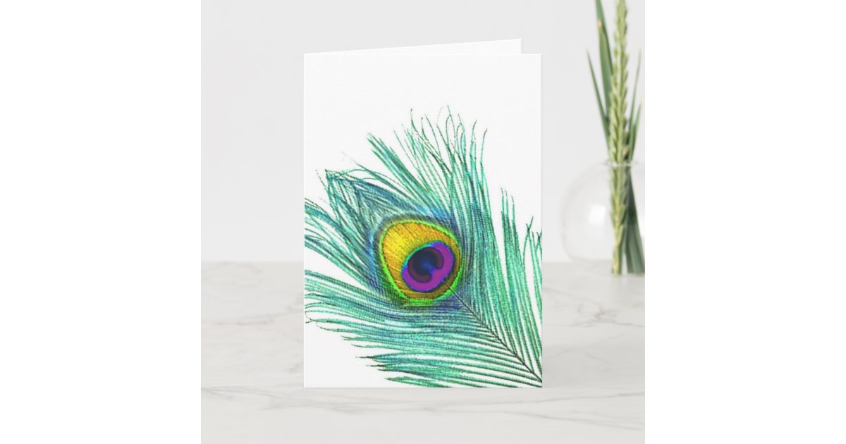 Peacock Feather note cards | Zazzle