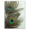 Peacock Feather Notebook