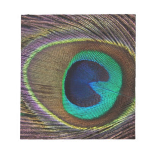 peacock feather notepad