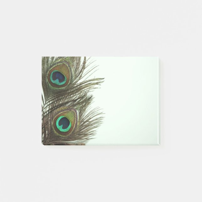 Peacock Feather Notes (Front)