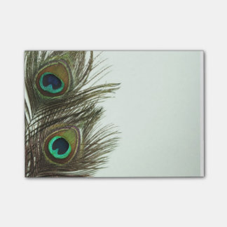 Peacock Feather Notes