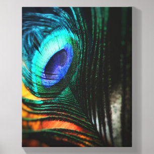 Peacock feather on Canvas Art Photo Tile