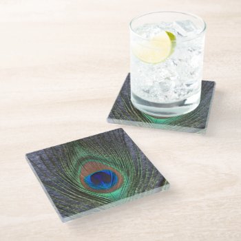 Peacock Feather On Gray Glass Coaster by BuzBuzBuz at Zazzle