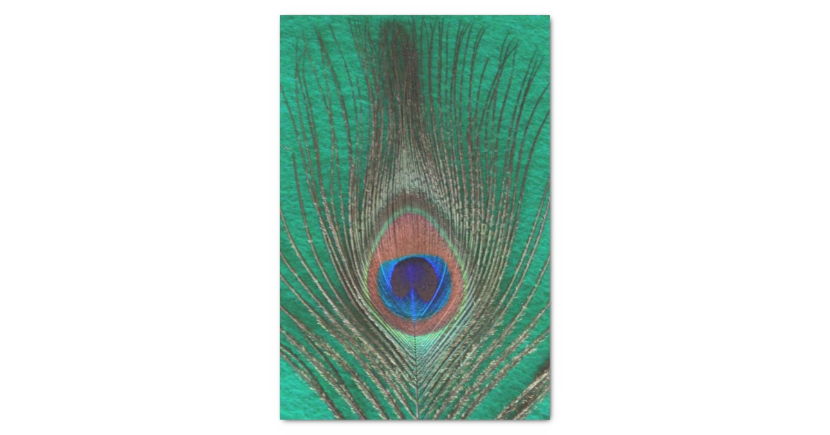 Peacock scrapbook paper picture