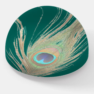 Peacock Feather on Teal  Paperweight