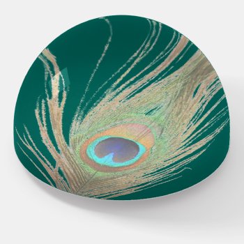 Peacock Feather On Teal  Paperweight by BuzBuzBuz at Zazzle