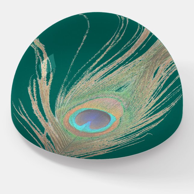Peacock Feather on Teal  Paperweight (Angled)
