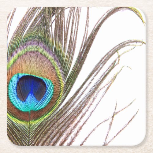 Peacock Feather Paper Coasters