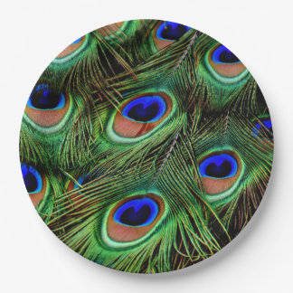 Peacock feather paper plates