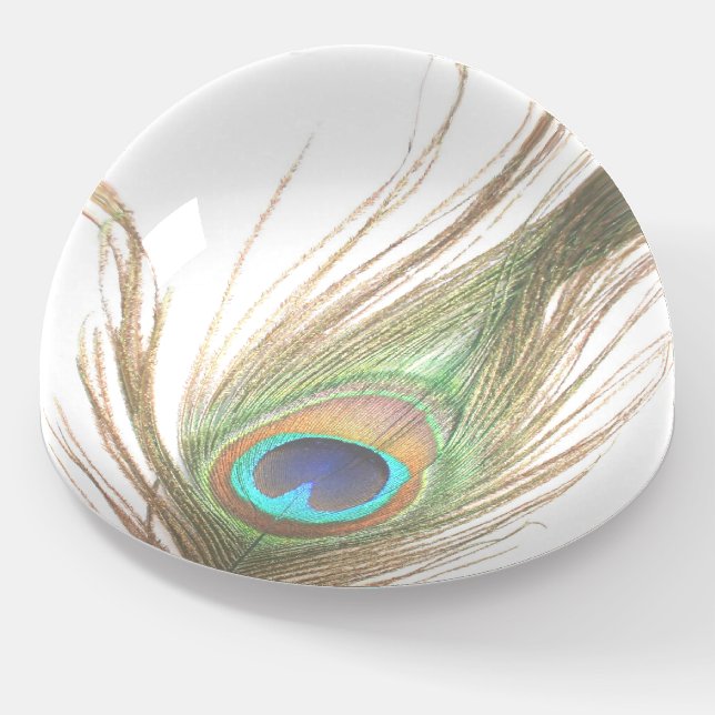 Peacock Feather  Paperweight (Angled)