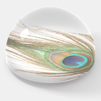 Peacock Feather  Paperweight by BuzBuzBuz at Zazzle