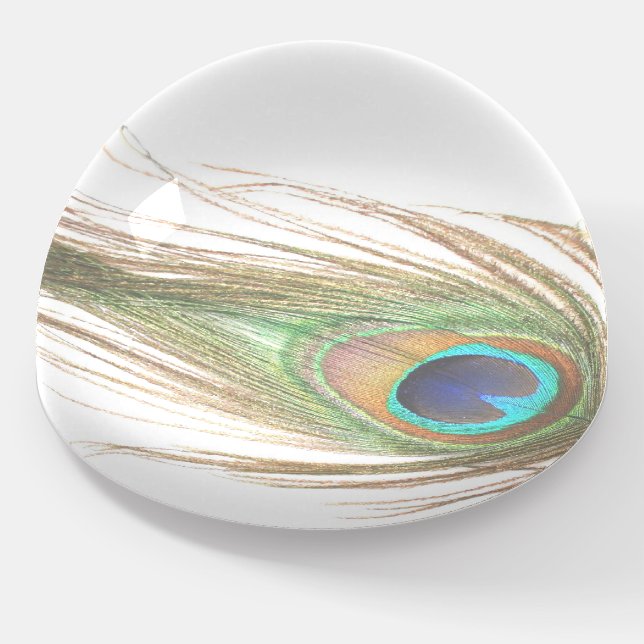 Peacock Feather  Paperweight (Angled)