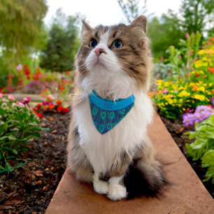 PEACOCK FEATHER PATTERN BLUE GREEN KITTY CAT NAME PET BANDANA COLLAR
