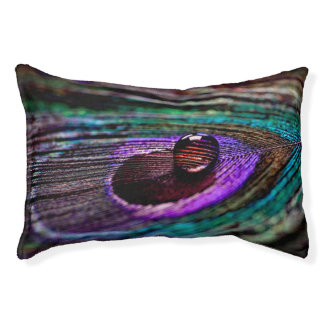 Peacock Feather Pattern pillow design cotton 
