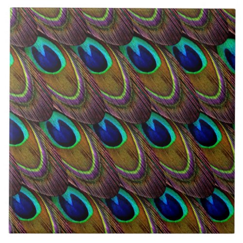 Peacock Feather Pattern Tile