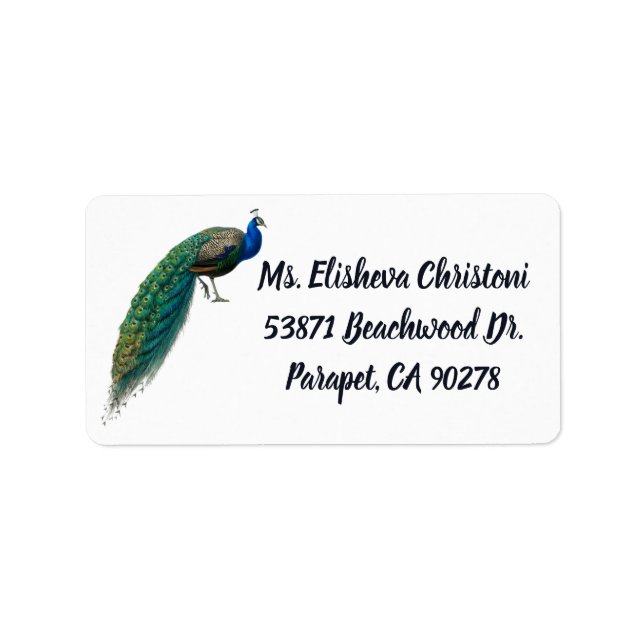 Peacock Feather Peacocks Return Address Labels (Front)