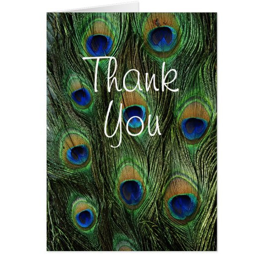 Peacock Feather Print Cards (Front)