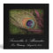Peacock Feather Purple/Green Photo/Album Binder