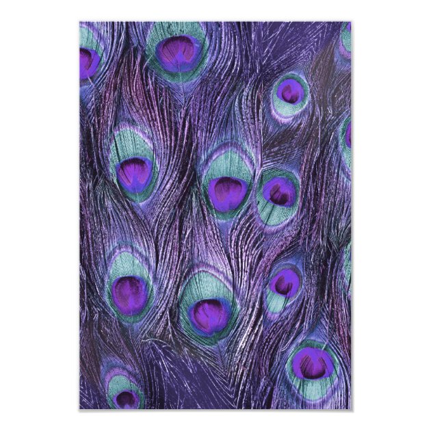 Peacock Feather Purple - Wishing Well Card