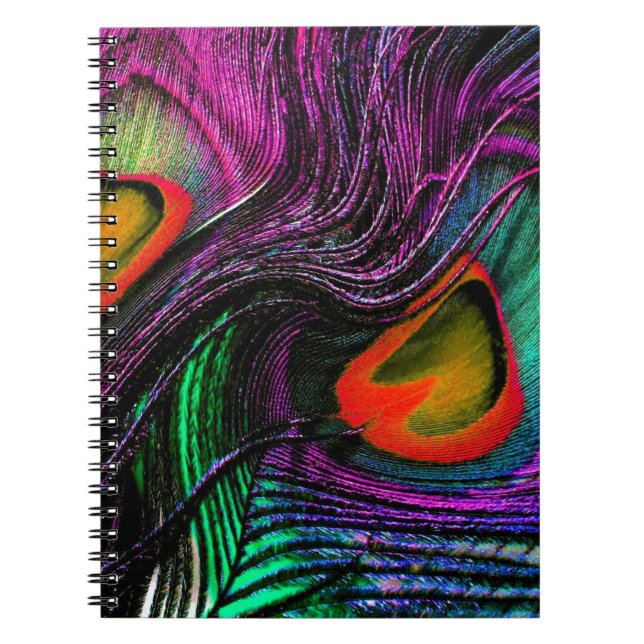 Peacock feather rainbow notebook (Front)