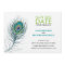 Peacock Feather Save the Date