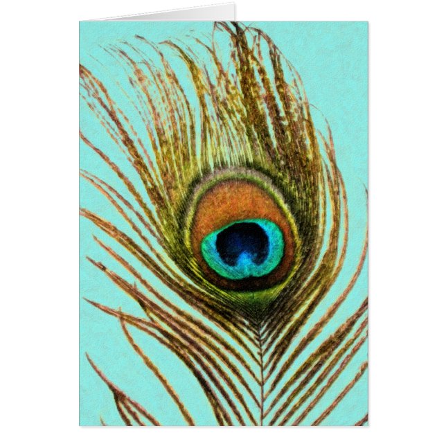 Peacock Feather Set 1107 (Front)