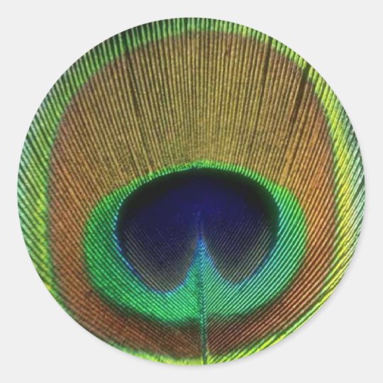 Peacock Feather Sticker | Zazzle.com