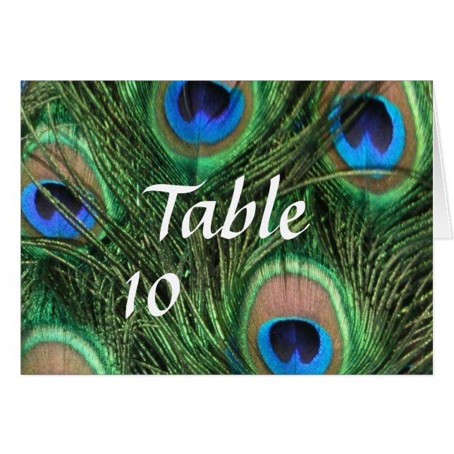 Peacock Feather Table Numbers (Front Horizontal)