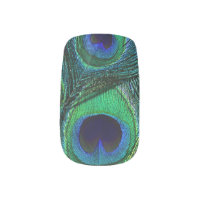 Peacock Feather Teal Green Blue Navy