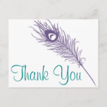 Peacock Feather Thank You Postcard at Zazzle