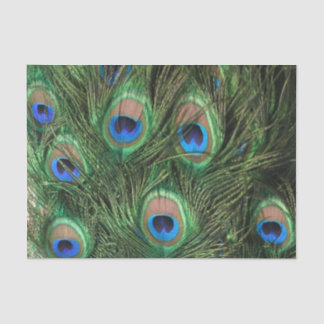 Peacock Feather Tissue Paper