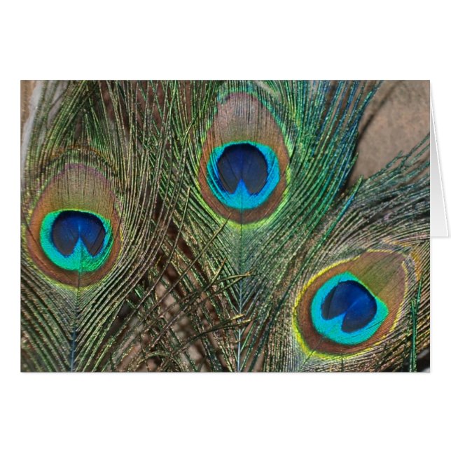 Peacock Feather Wedding Cards (Front Horizontal)