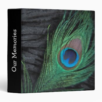 Peacock Feather With Black 3 Ring Binder by Peacocks at Zazzle