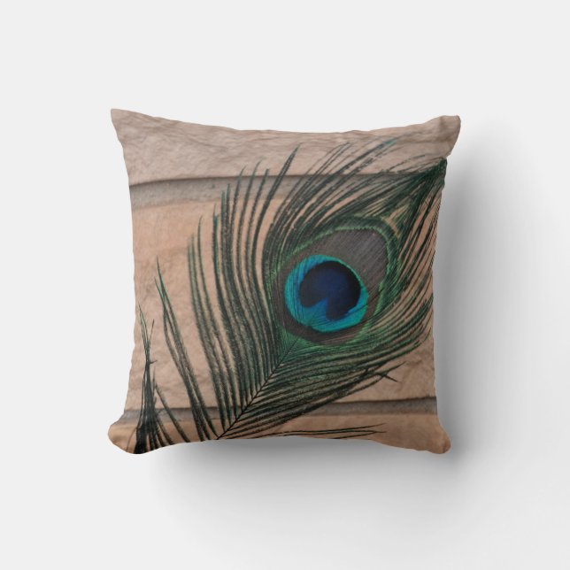 Peacock Feather with Bricks Still Life Throw Pillow (Front)