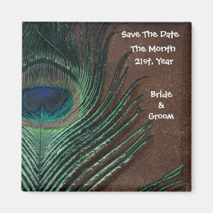 Peacock Feather with Brown and Gold Magnet