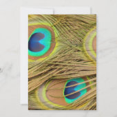 Peacock Feathers (Front)