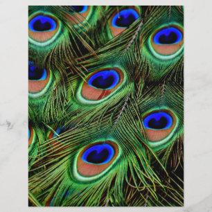 Peacock Feathers