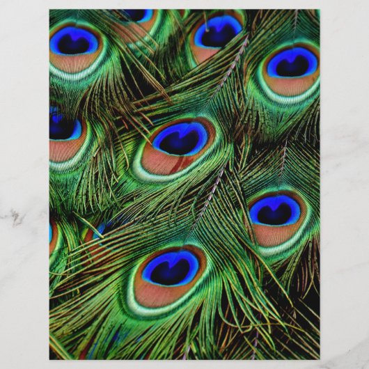 Peacock Feathers (Front)