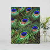 Peacock Feathers (Standing Front)