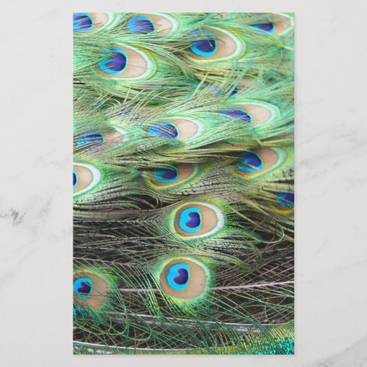 Peacock Feathers (Front)
