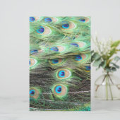 Peacock Feathers (Standing Front)