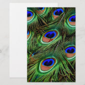 Peacock Feathers (Front/Back)