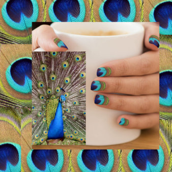 Peacock Feathers (0143) -  Nails Art Minx Nail Wraps by CatsEyeViewGifts at Zazzle