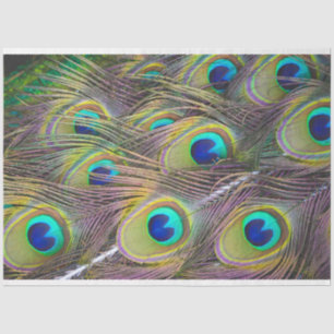 Peacock Feathers 1 Decoupage Tissue Paper