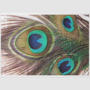 Peacock Feathers 2 Decoupage Tissue Paper