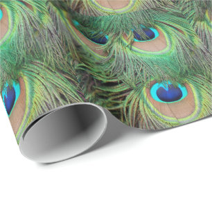 Peacock Feathers 3 Wrapping Paper