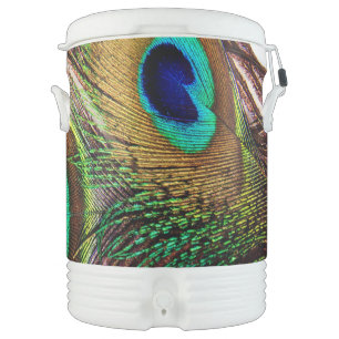 Peacock Feathers 4 Igloo Beverage Cooler
