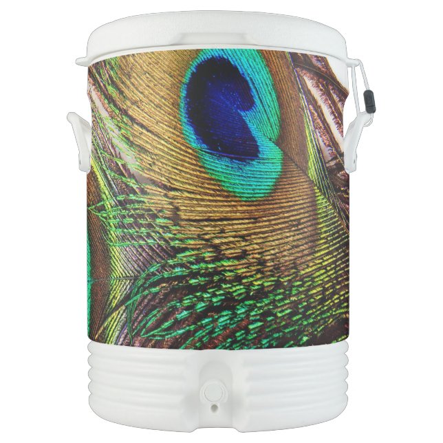 Peacock Feathers 4 Igloo Beverage Cooler (Front)