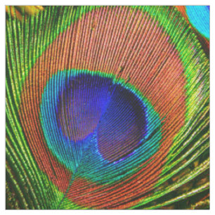 Peacock Feathers 6B Custom Fabric